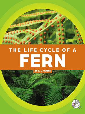 cover image of The Life Cycle of a Fern